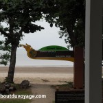 Parc national Bako Bornéo