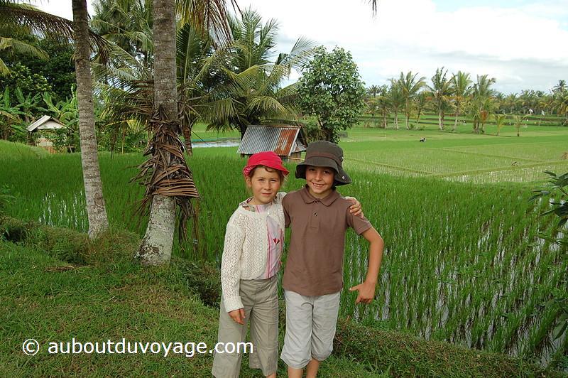 Indonésie Bali Ubud rizières jumeaux