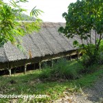 Bornéo Longhouse 2