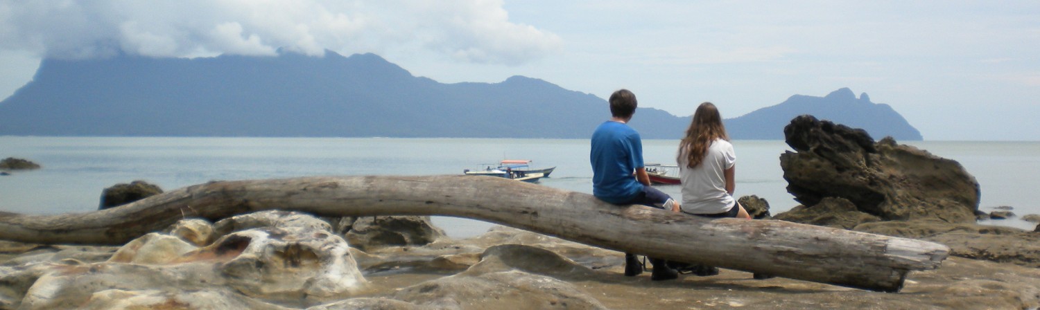 Parc naturel de Bako Bornéo plage jumeaux assis sur tronc
